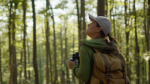 istock Explorer Woman Birdwatching In Scenic Forest At Sunset 2245742355