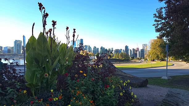 istock Flora and greenery along Vancouver's seawall pedestrian footpath between  Devonian Harbor Park and Charleson Park on the morning of October 13, 2025. 2245750854