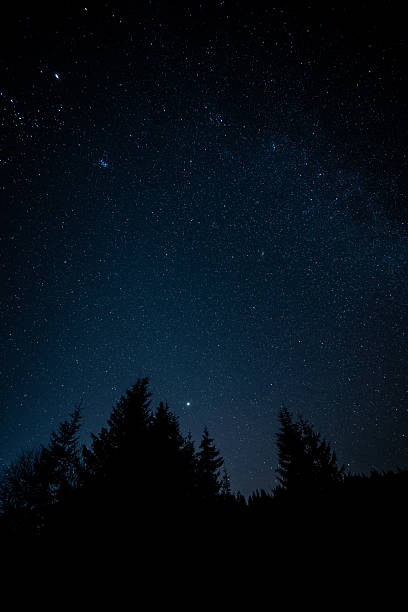 istock Starry Night Sky Above Forest Silhouettes 2245751535