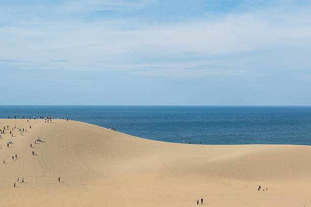 istock Tottori sand dunes, Tottori, Japan 2245752074