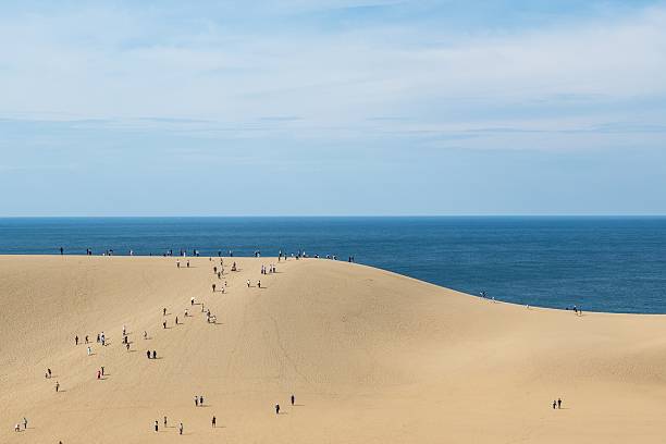 istock Tottori sand dunes, Tottori, Japan 2245752075