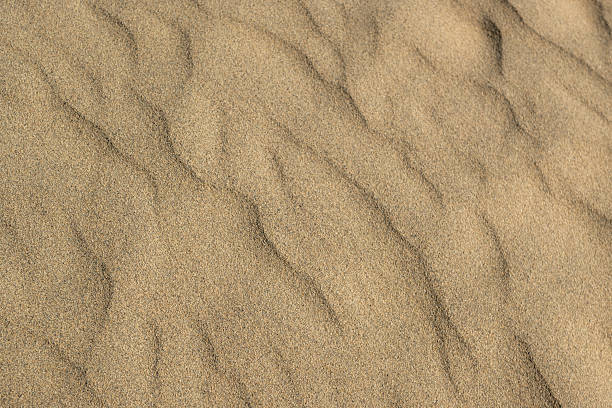 istock Tottori sand dunes, Tottori, Japan 2245752118