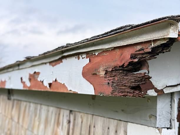 istock Rotten Wood House 2245753047