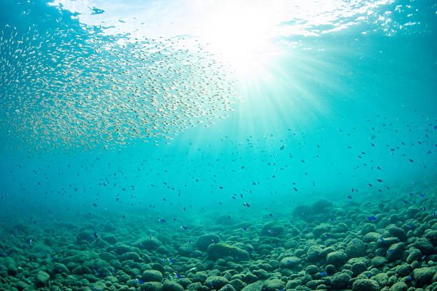Cristalline blue lagoon waters of West Reunion islan, white sand beach and Saint Gilles City