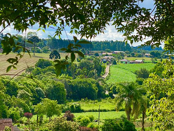 Landscape of the beautiful state of Santa Catarina, Brazil. The best option for leisure and vacation travel, with all kinds of environments, beaches, countryside, mountains, mountains, cold weather with frost and sometimes snow. Photo made in Campo Alegre,