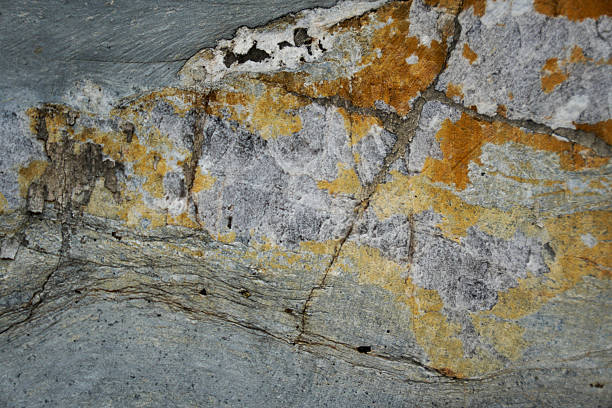 istock Close-up view of rock surface with various colors and textures 2245759141