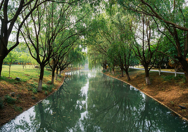 A peaceful river reflects the surrounding trees as sunlight filters through the leaves in a calm park setting.
