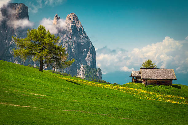 Cozy small wooden huts on the green slope in the Alps, Alpe di Siusi, Dolomites, Italy, Europe