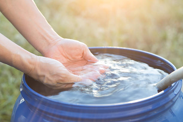 istock Hand in rainwater tank at sunset 2245776993
