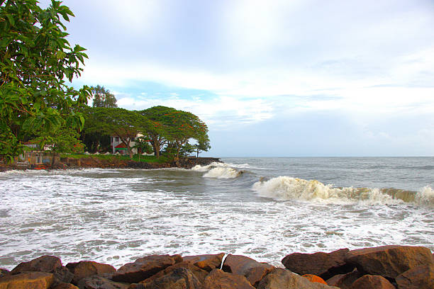 beach waves with surf crushing on rock nature view
