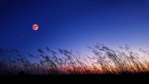 istock Full Moon with stars, planets and rural countryside tree silhouettes. 2245783517