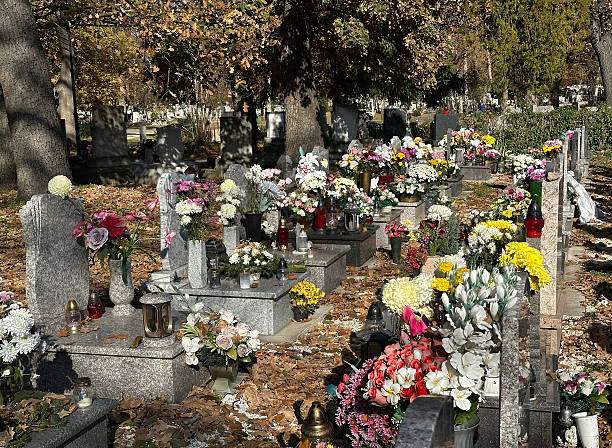 istock Tombstones in the public cemetery 2245788447