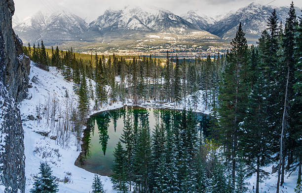 Forest, Nature. Landscapes of Banff Park. Mountains, forests and rivers. Travel to Canada.