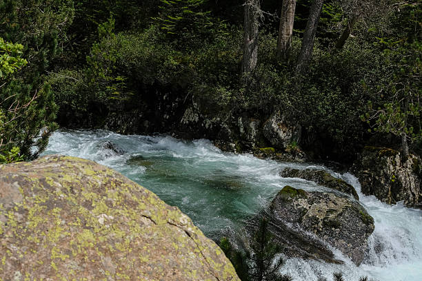 istock Mountain river. Wilderness hydrology, erosion, and vegetation. 2245795149