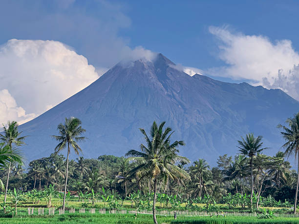 istock Tropical Rice Fields and Palm Trees with Majestic Mountain Background 2245798883