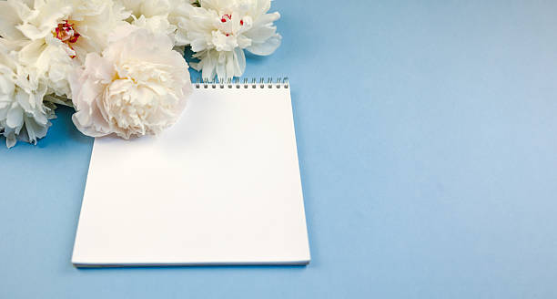 istock cotton bolls surround spiral notepad, light blue rustic surface with cozy product display, natural textured background featuring cotton bolls and spiral notebook for branding display 2245799681