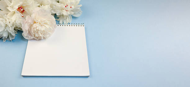 beautiful pastel flower notebook display, charming sketches on soft pastel background, stylish flatlay featuring white peony accents on calming pastel blue surface for creative projects