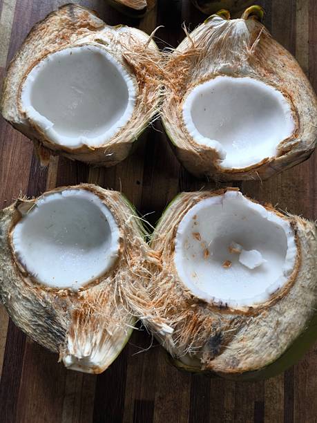 istock Halved Fresh Coconuts on Wooden Board 2245800386