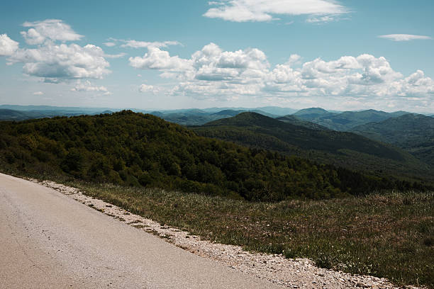 Asphalt road curving through green mountain hills under bright spring sky on Mount Cigota, Serbia.