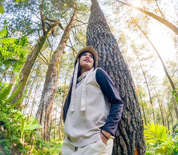 istock Asian woman leaning against a pine tree, applying Japanese bathing forest 2245801415