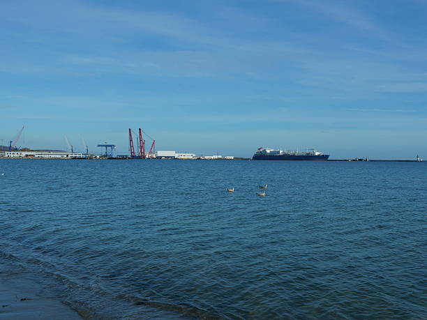 istock Two seagulls on calm water before a shipyard with red cranes and LNG ship. 2245803077