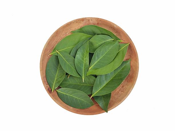 istock Fresh bay leaf on wooden plate isolated on white background 2245805834