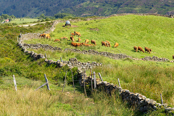 Old mountain road near the abandoned village of Branda de Bilhares. This village is situated in the nature reserve of Peneda-Gerês. This used to be a village that was used in the summertime for agricultural activities.
