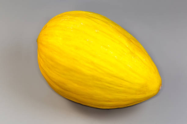 Whole fresh oblong melon with bright yellow slightly wrinkled skin on a wooden rustic table on a gray background