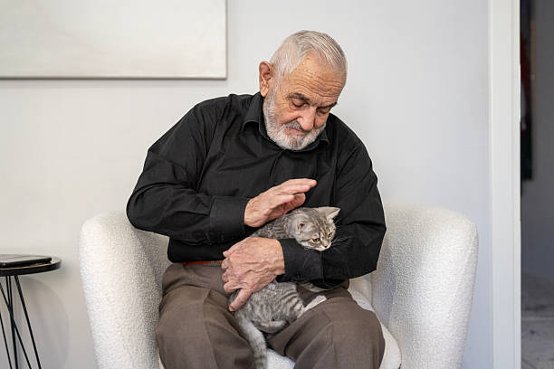 An elderly man holds a kitten and smiles to him