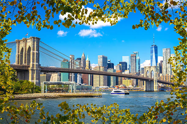 istock New York City epic skyline and Brooklyn bridge view through leaf 2245809911