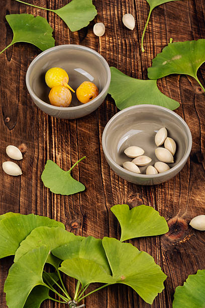 Alternative medicine and homeopathy, ginkgo biloba extract. Natural remedy.