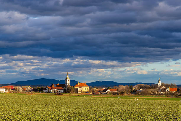Czech village buildings and green fields under moody sky in Olbramovice, Jihomoravsky kraj