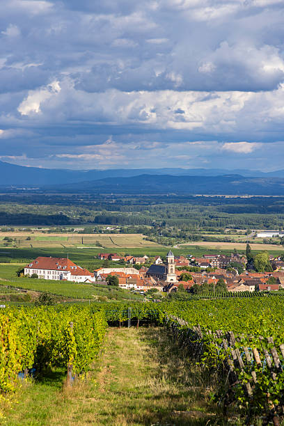 istock Alsace vineyard valley with rural village under cloudy sky 2245818724