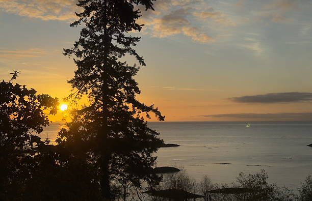 istock Metchosin, Vancouver Island 2245825433