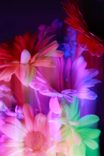 istock Neon floral wall art with glowing daisies 2245825769