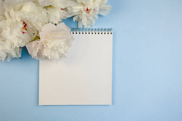 istock blank notepad surrounded by peonies and soft petals on light blue surface, romantic stationery scene for love notes and poetry, intimate mood with delicate texture and writing inspiration 2245826841
