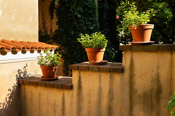 A close-up view of a red brick wall, showcasing detailed texture and pattern. The image has a rustic and industrial feel, suitable for backgrounds or design elements.