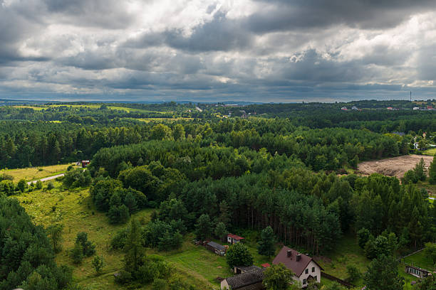 Wide panoramic view of rural landscape with dense forest, meadows, and scattered houses beneath heavy storm clouds. The natural layers of green create depth, contrast, and calm countryside atmosphere.