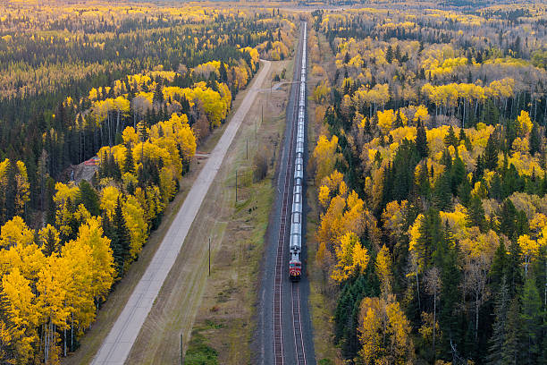 The train tracks that cross the Canadian Rocky Mountains surrounded by trees.