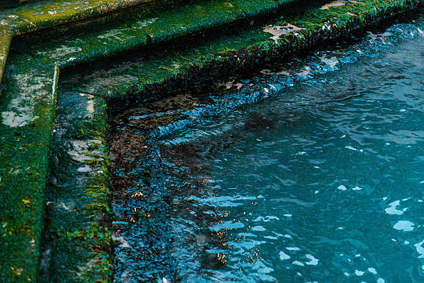 istock Moss-covered stone steps leading to a pool in Venice 2245833727