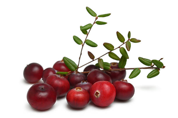 istock Ripe cranberries with leaves 2245834643