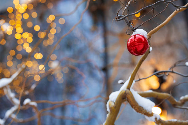 Christmas eve small element decorative red ball hanging on bare branch on a street with blurred background golden bokeh dusk condition winter space