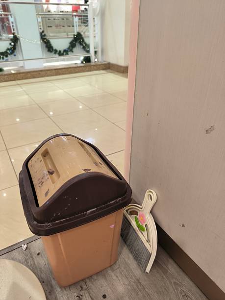 istock A vertical shot of a small, beige and brown plastic trash bin with a matching dustpan and small broom leaning against a light-colored wall or partition. The objects are placed on a wooden floor near a polished tiled floor and a blurred background of a sh 2245836005