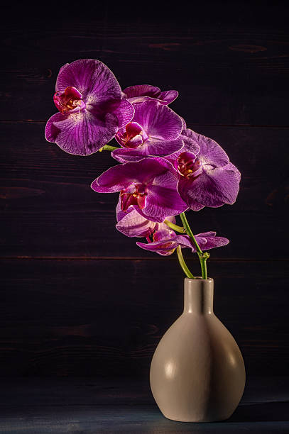 istock Delicate violet orchid flowers in vase. Close-up. 2245840913
