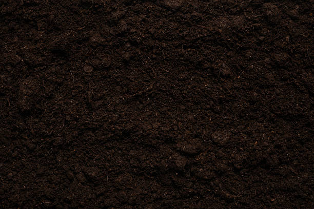 istock Black land for plant background. 2245847209
