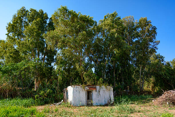 istock A collapsed house after a natural storm 2245848726