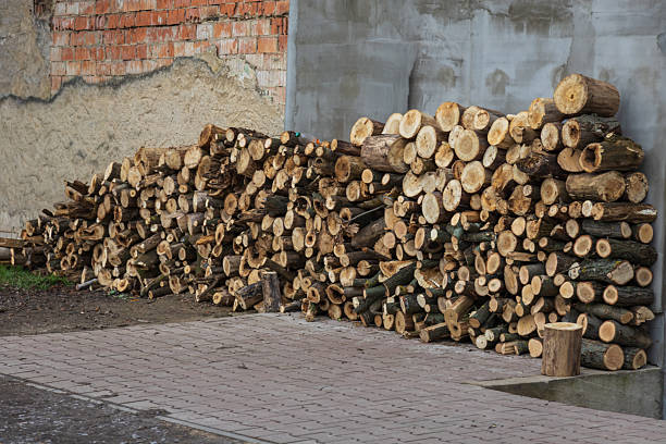 Close-up background and texture of firewood stacked in yellow honeycombs.