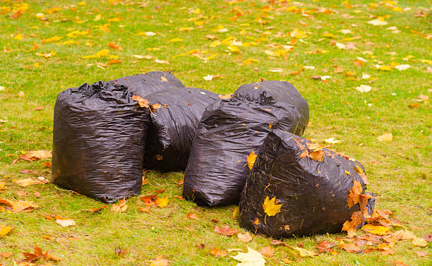 istock four bags with autumn leaves on lawn. 2245852938