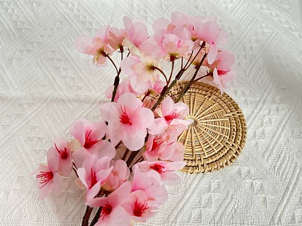 istock Delicate Pink Cherry Blossom Branches Arranged on Textured White Background with Woven Straw Mat for Floral Decoration and Aesthetic Appeal 2245853075