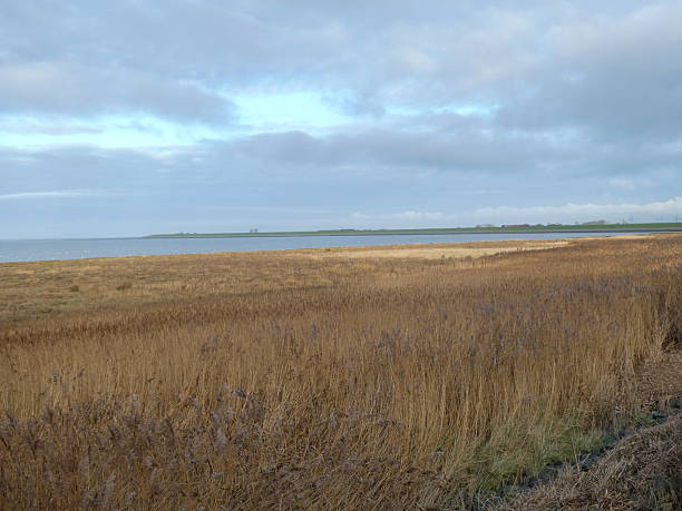 istock The Wadden Sea Nature Reserve, Norddeich 2245854399